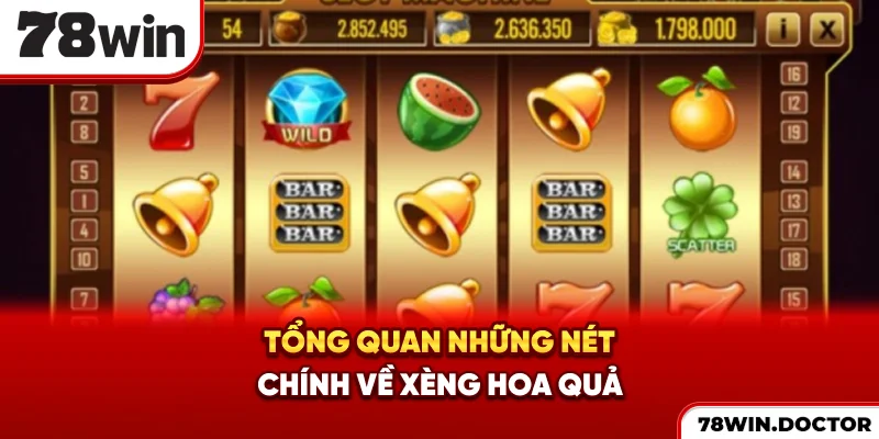 Tổng quan những nét chính về xèng hoa quả