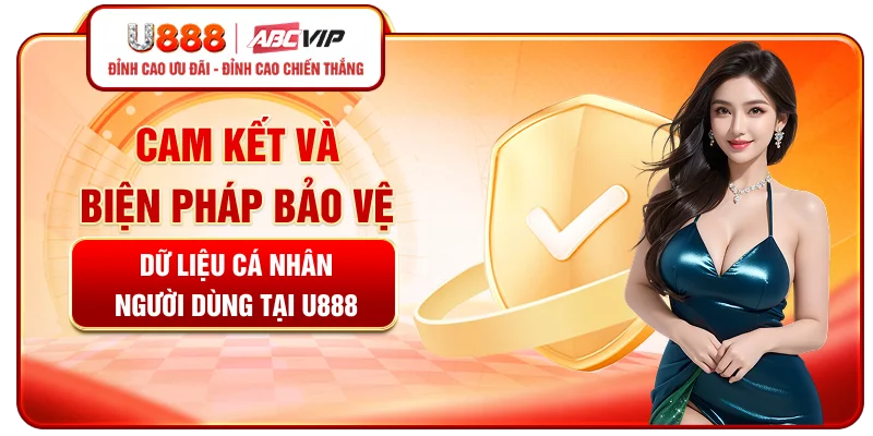 Cam kết và biện pháp bảo vệ dữ liệu cá nhân người dùng