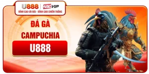 Đá Gà Campuchia U888 - Xem Trực Tiếp, Cược Chuẩn & Thắng Lớn