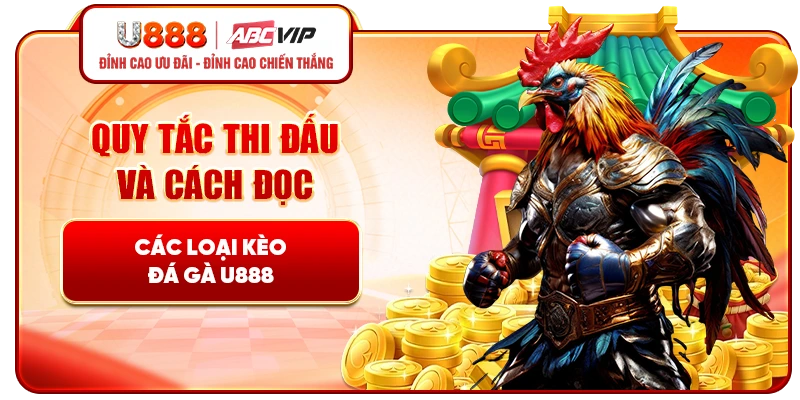 Quy tắc thi đấu và cách đọc các loại kèo đá gà U888
