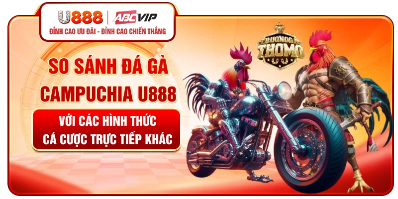 So sánh đá gà Campuchia U888 với các hình thức cá cược trực tiếp khác