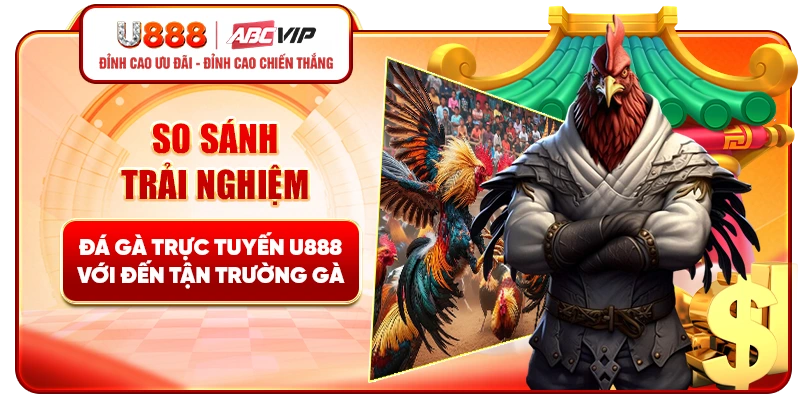 So sánh trải nghiệm đá gà trực tuyến U888 với đến tận trường gà