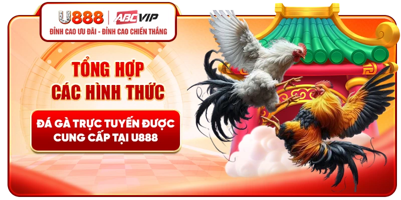 Tổng hợp các hình thức đá gà U888 trực tuyến được cung cấp 