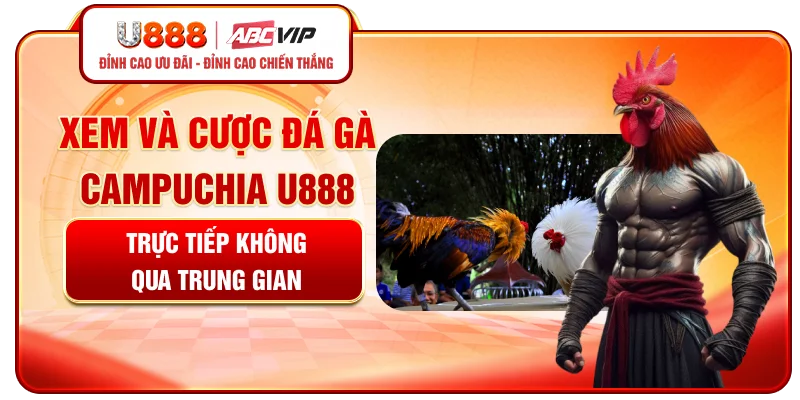 Xem và cược đá gà Campuchia U888 trực tiếp không qua trung gian